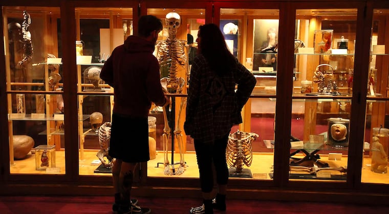 The Mütter Museum