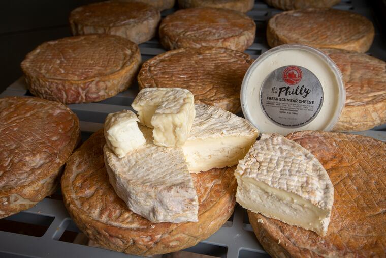 A tray of cheeses at Perrystead Dairy on Wednesday, June 9, 2021. From top are the Intergalactic, Field Day, Trying for Fancy, and a container of the Real Philly Fresh Schmear Cheese sitting on top of tray full of experimental cheese.