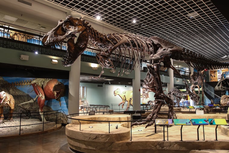 The Academy of Natural Sciences resumes weekly Paleo Playdates for preschoolers, albeit virtually, February 3. Here, the academy's Dinosaur Hall.