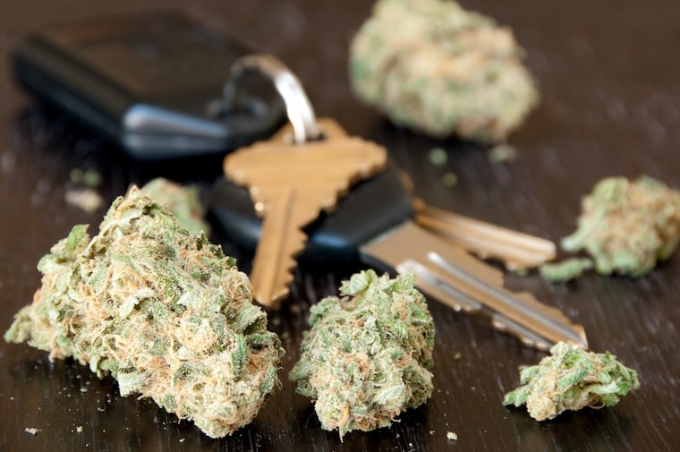 Marijuana lying on a table next to car keys.